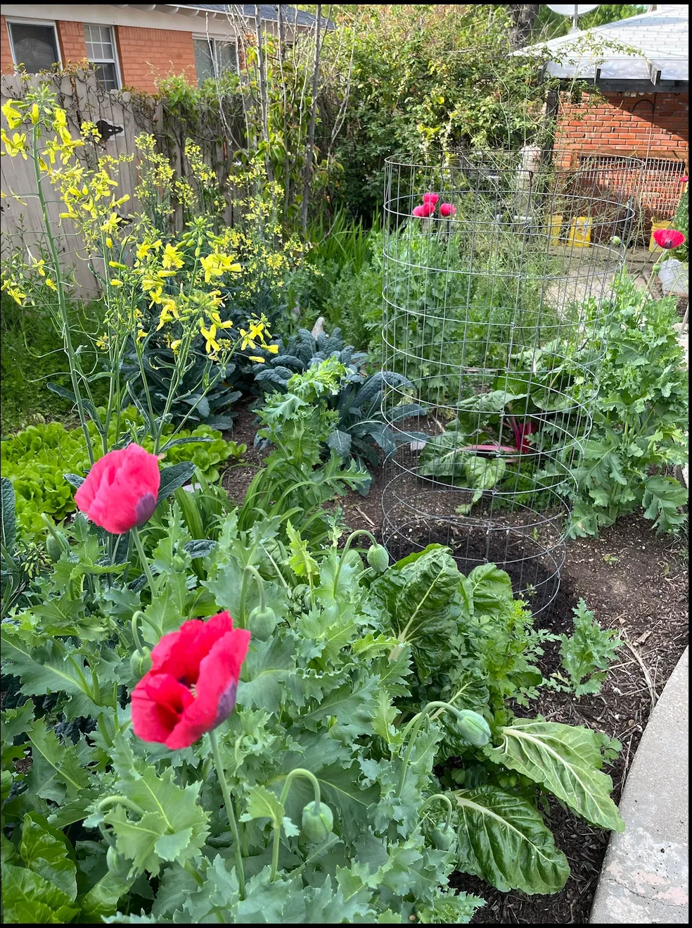 Garden cultivation